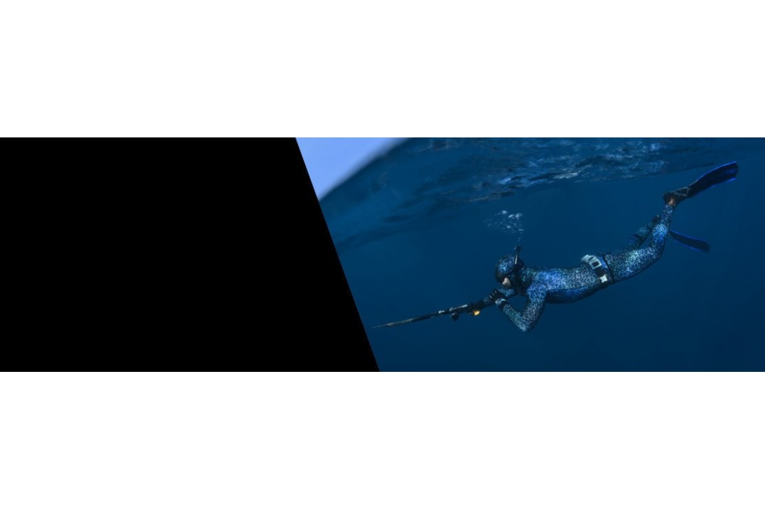 Pesca submarina